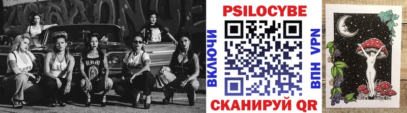 Галлюциногенные грибы Psilocybe  купить   Котельники 